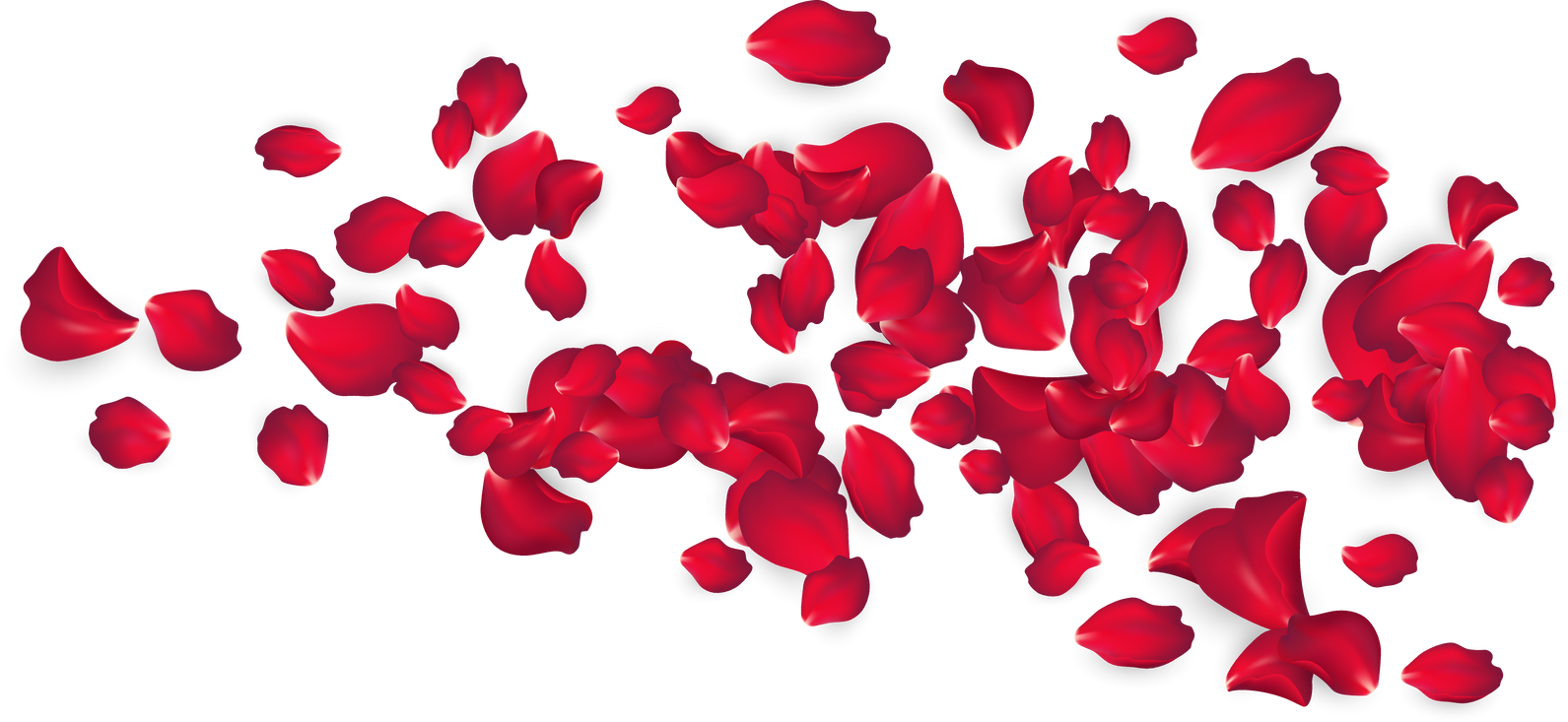 Rose Petals Design Element