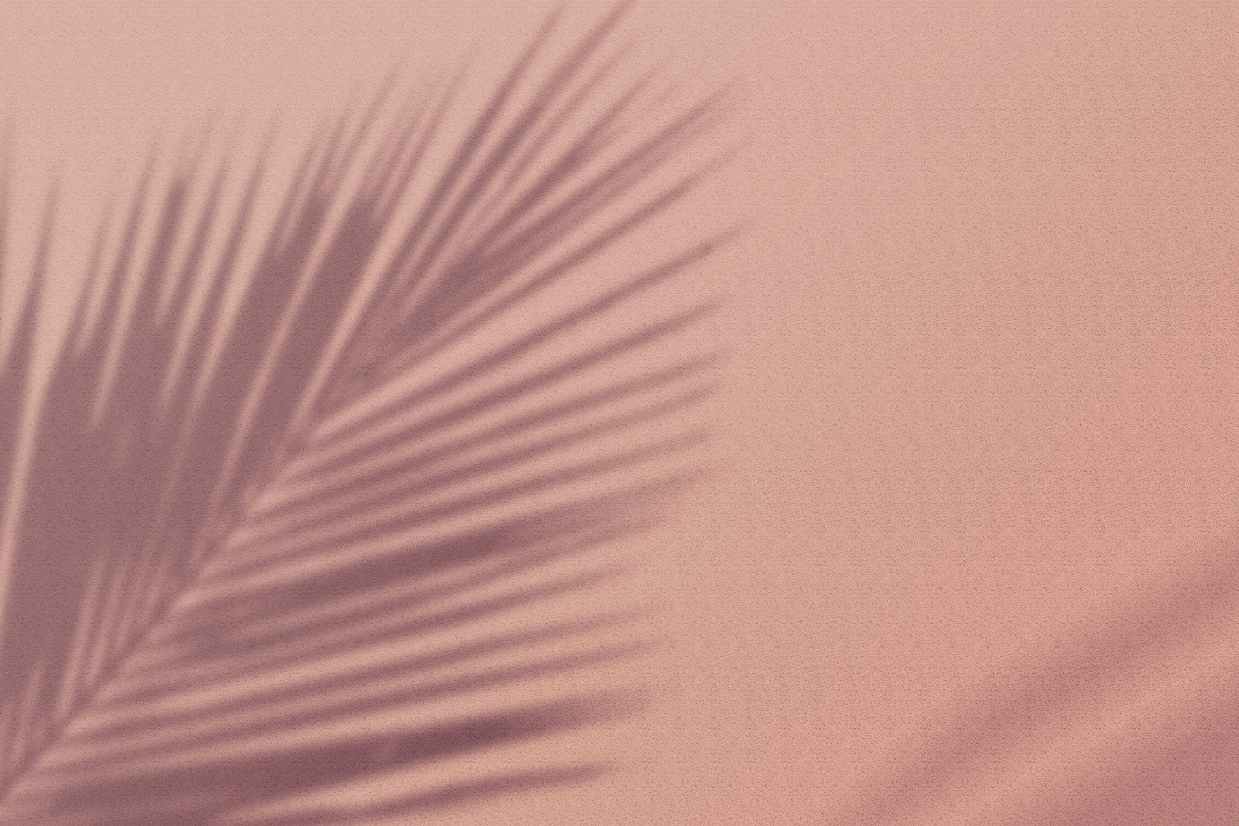 Palm Leaves Shadow on Beige Background