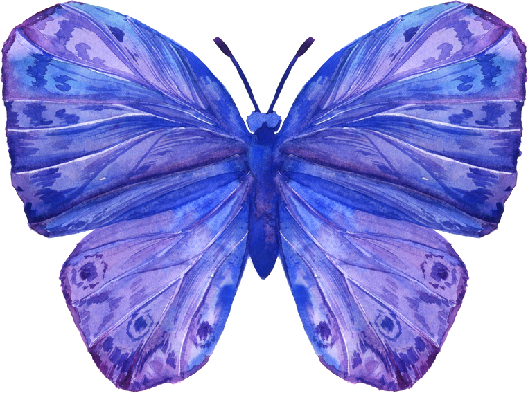 Blue watercolor butterfly