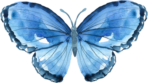 Blue watercolor butterfly