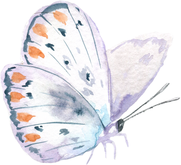 Blue watercolor butterfly