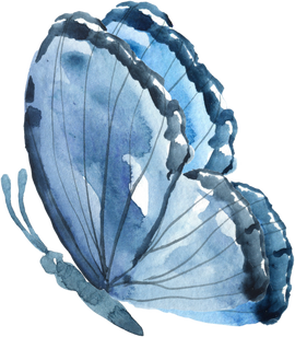 Blue watercolor butterfly